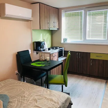 Green Room Lejlighed Varna