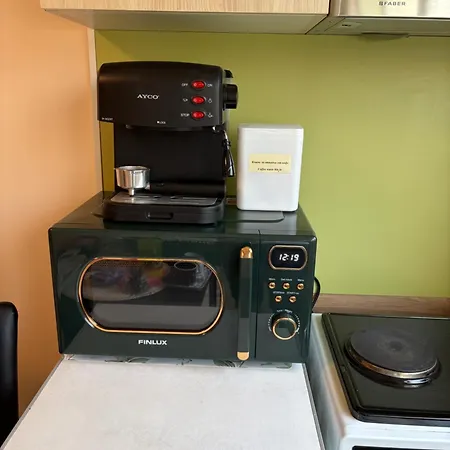 Green Room Apartment *